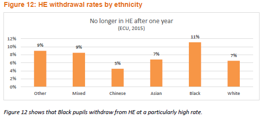 HE dropout by ethnicity