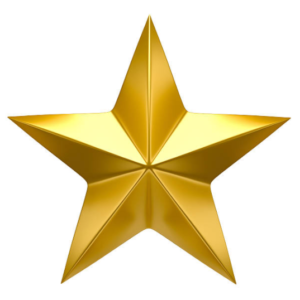 Image result for one gold star